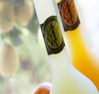 Ambra Limoncello - Attractions