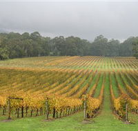Boat O'Craigo Wines - Attractions
