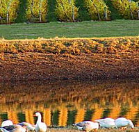 Pipers Brook Vineyard - Attractions