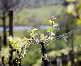 Curlewis VIC Attractions