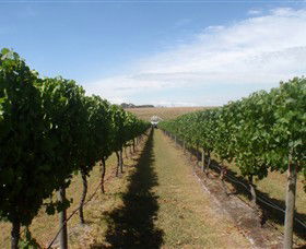 Cannibal Creek Vineyard - Attractions 1