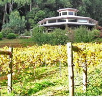 Peveril Vineyard/Beechy Berries - Attractions