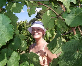 Harcourt Valley Vineyards - Attractions 5