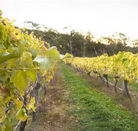 Harcourt Valley Vineyards - Attractions