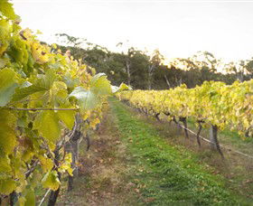 Harcourt Valley Vineyards - Attractions 0