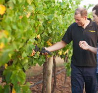 Fratin Brothers Vineyard - Attractions