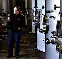 Holm Oak Vineyard - Attractions