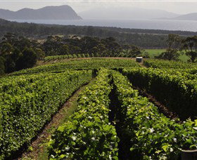 Bream Creek Vineyard - Attractions 0