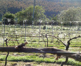 Red Hills TAS Attractions