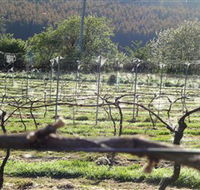 Three Willows Vineyard - Attractions