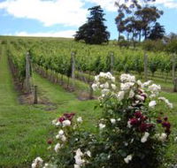 Pembroke Estate Vineyard - Attractions