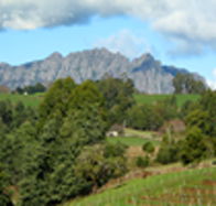 Lake Barrington Vineyard - Attractions