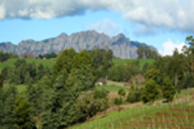 Lake Barrington Vineyard - Attractions 0