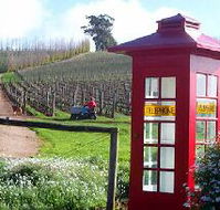 Dalrymple Vineyards - Attractions