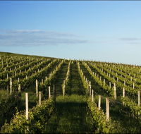 Delamere Vineyard - Attractions