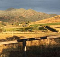 Optimiste Wines - Attractions