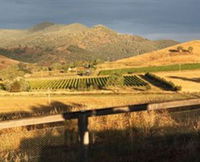Optimiste Wines