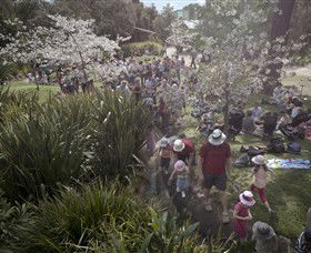 Royal Botanic Gardens Victoria - Attractions 7