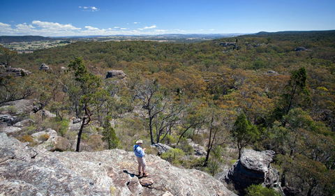 Munghorn Gap Nature Reserve - Attractions 1