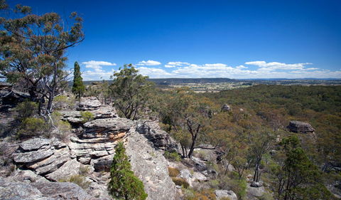Munghorn Gap Nature Reserve - Attractions 0