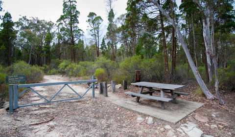 Munghorn Gap Nature Reserve - Attractions 2