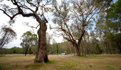 Munghorn Gap Nature Reserve - Attractions 3
