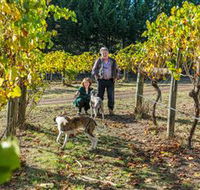 Little River Wines of Taggerty - Attractions