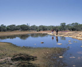 Camel Soak - Attractions 0