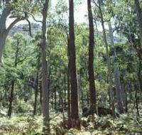 Cathedral Range State Park - Attractions