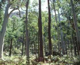 Cathedral Range State Park - Attractions 0