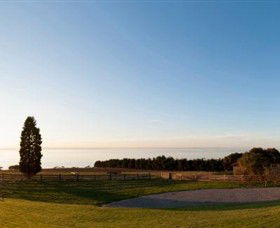 Jack Rabbit Vineyard - Attractions 3