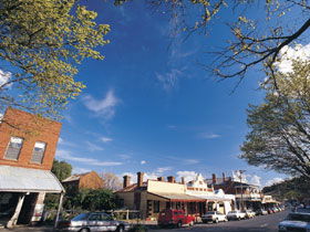 Drysdale Cheeses - Attractions 1