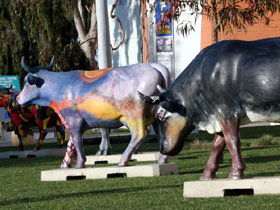 Drysdale Cheeses - Attractions 6