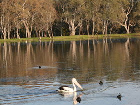 Drysdale Cheeses - Attractions 7