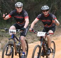 Trailhead Bike Co. - Attractions