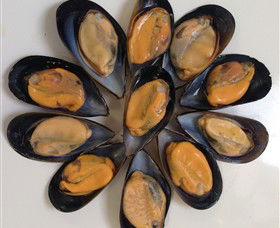 Advance Mussel Supply - Attractions 3