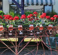 Van Loon's Nursery - Attractions