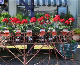 Van Loon's Nursery - Attractions 0