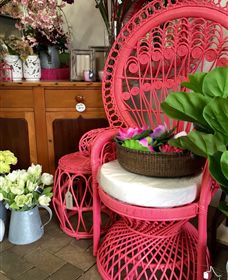 Van Loon's Nursery - Attractions 3