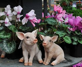 Van Loon's Nursery - Attractions 2
