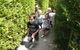 Hedgend Maze And Healesville Laser Sport - thumb 1