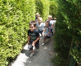 Hedgend Maze And Healesville Laser Sport - Attractions 1
