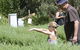 Hedgend Maze And Healesville Laser Sport - thumb 2