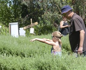 Hedgend Maze And Healesville Laser Sport - Attractions 2