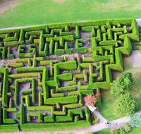 Hedgend Maze and Healesville Laser Sport - Attractions