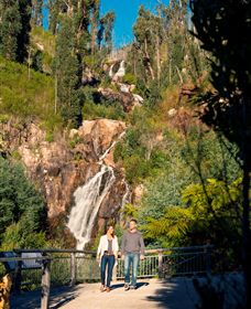 Steavenson Falls Marysville - Attractions 1