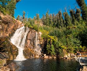Steavenson Falls Marysville - Attractions 0