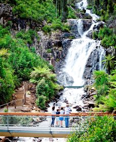 Steavenson Falls Marysville - Attractions 2