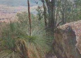 Mount Lawson State Park - Attractions 0