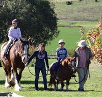 Bathurst Farm Experience - Attractions